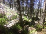 DSC03688.JPG