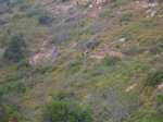 salida 06-06-09 009 [Resolucion de Escritorio].jpg