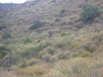 salida 06-06-09 016 [Resolucion de Escritorio].jpg