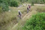 previatrobada606092.jpg