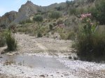 m_IMG_0740.jpg