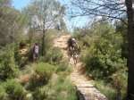 fontanars (7).jpg