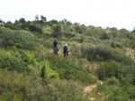 Imagen 084.jpg