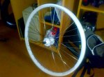 06062009074.jpg