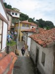 IMG_7484.jpg