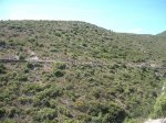 DSCF3519.JPG