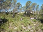 DSCF3538.JPG