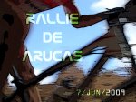 RALLY ARUCAS.jpg