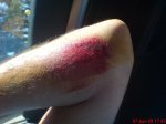 DSC00527.jpg