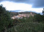 IMG_4873.jpg