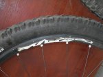DSCN3907.JPG