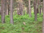 IMG_2724.JPG