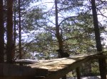 DSC03660.JPG