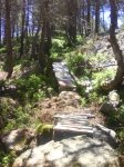 DSC03683.JPG