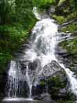 IMG_5236.jpg