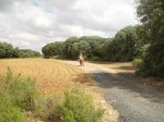 DSC06675.JPG