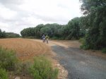 DSC06682.JPG