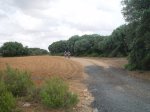 DSC06683.JPG