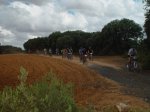 DSC06699.JPG