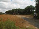 DSC06701.JPG