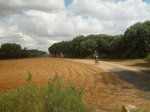 DSC06702.JPG