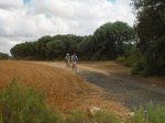 DSC06703.JPG