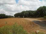 DSC06704.JPG