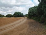 DSC06711.JPG