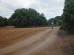 DSC06722.JPG