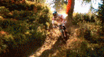 Contramanillar.gif