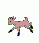 cabritio.gif