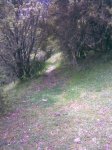 Imagen040.jpg