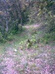 Imagen046.jpg