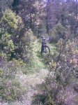 Imagen047.jpg