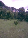 Imagen048.jpg
