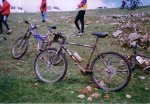 Pastores962.jpg