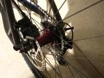 kibikes 021 (Large).jpg