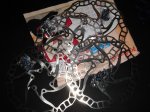 DSC07515.JPG