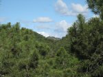 IMG_8458.jpg
