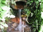 IMG_8460.jpg