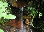 IMG_8463.jpg