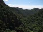 IMG_8466.jpg