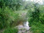 09062009026.jpg