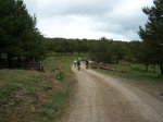 100_0682.jpg