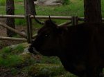 100_0685.jpg