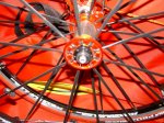 DSC04125.jpg