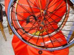 DSC04127.jpg