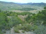 DSC00183.jpg