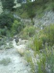 DSC00185.jpg