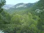 DSC00192.jpg